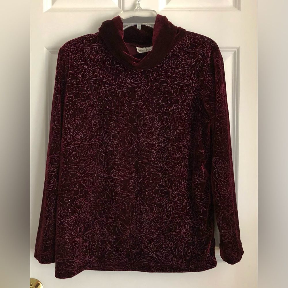 COLDWATER CREER WOMEN'S BLOUSE SIZE MEDIUM RED VELVET FLORAL TUNIC MONK NECK